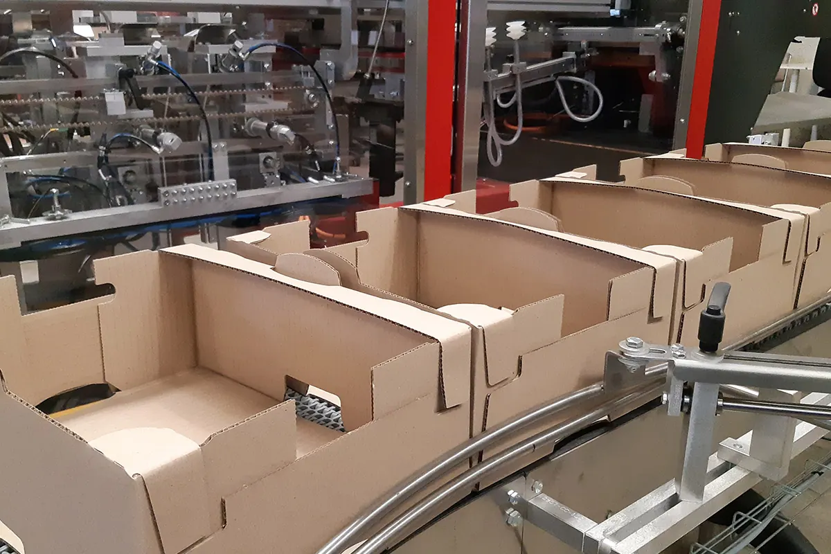 Cartons sur une ligne avant palettisation