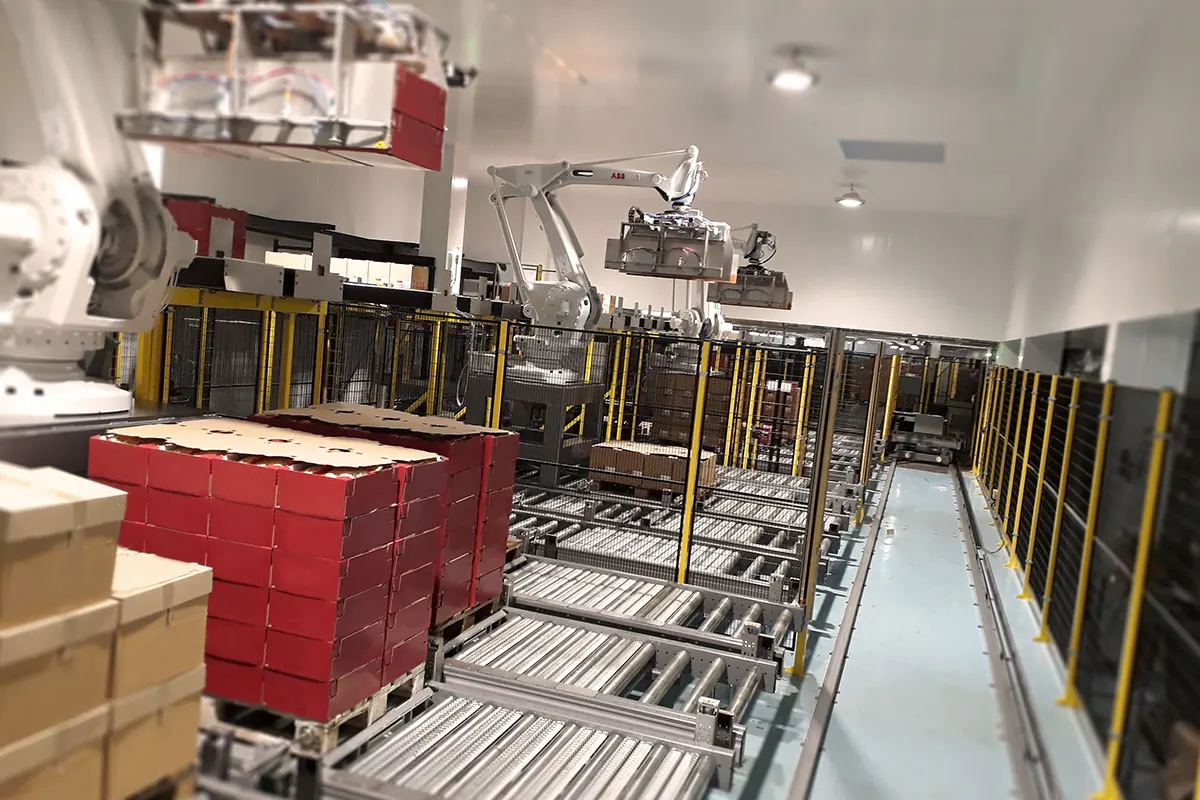Îlot de palettisation robotisée PicPacSystems